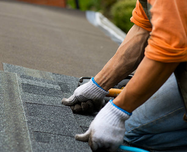 Trusted Columbia, IL Roofing Contractor Experts